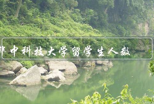 华中科技大学留学生人数（总体情况、分布情况、支持与交流）