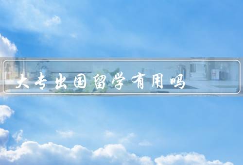 大专出国留学有用吗，提升语言能力、跨文化沟通能力