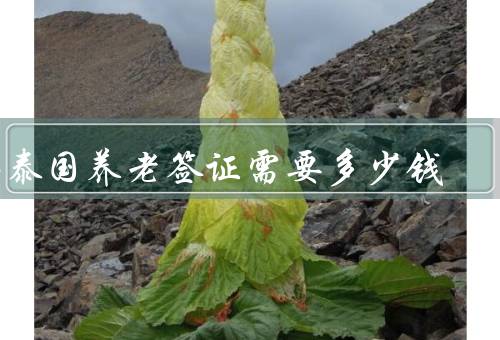 办泰国养老签证需要多少钱（费用构成／其他费用／总体费用）