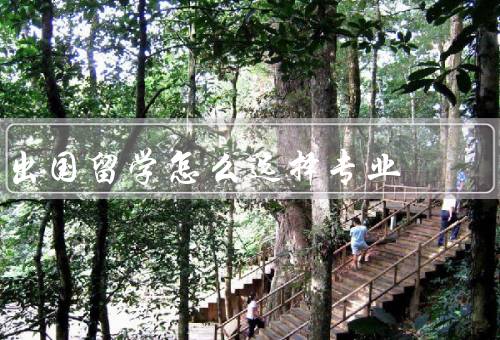 出国留学怎么选择专业（兴趣／就业前景／个人优势）