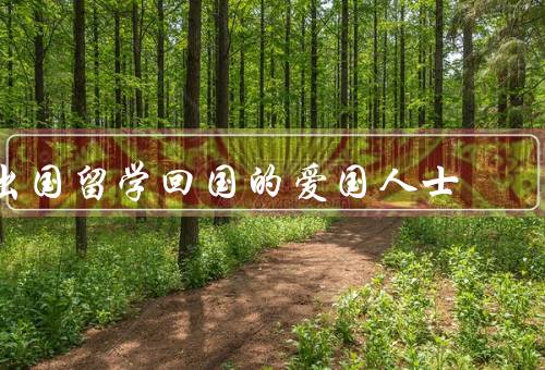 出国留学回国的爱国人士（爱国情怀、回国发展、服务社会）