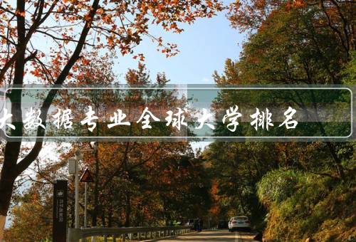 大数据专业全球大学排名（美国大学排名、欧洲大学排名）