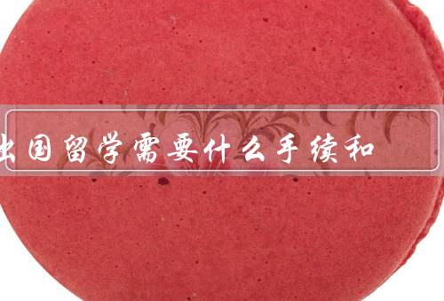 出国留学需要什么手续和证件，申请入学／办理签证／购买保险
