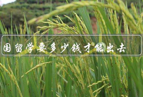 出国留学要多少钱才能出去（学费／生活费／其他费用）