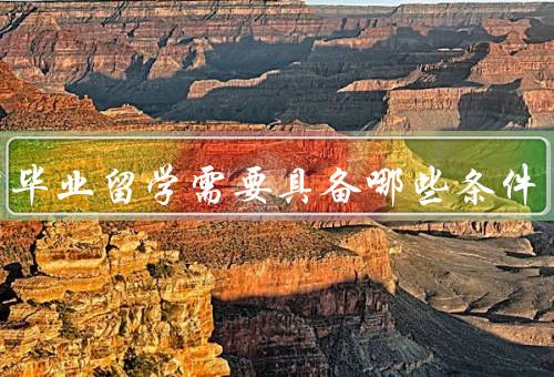 初中毕业留学需要具备哪些条件，优秀的学术成绩、良好的语言能力