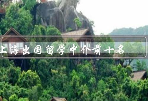上海出国留学中介前十名（东方留学、留学服务中心）