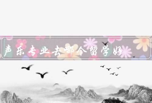 声乐专业去哪个国家留学好（声乐教育水平、艺术氛围、就业前景）