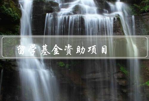 国家留学基金资助项目（背景、目标、申请条件）
