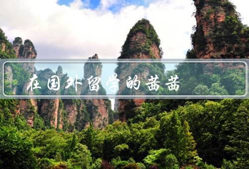 在国外留学的茜茜（学习、生活、成长）
