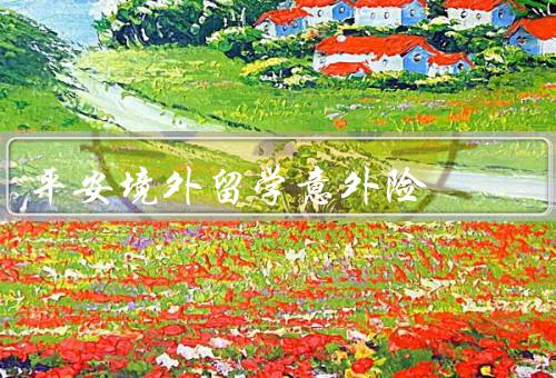 平安境外留学意外险（保障范围、快速理赔、灵活选项）