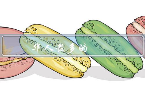 华人移民最多的国家，移民政策的吸引力／多元文化的社会氛围