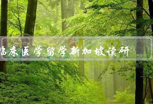 临床医学留学新加坡读研（学习环境、教学质量、科研机会）