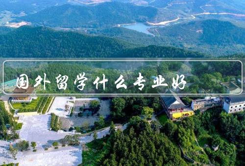 国外留学什么专业好