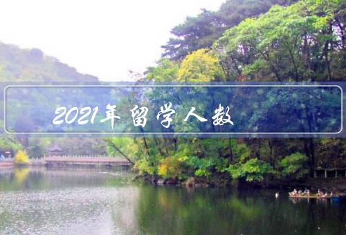 2021年留学人数，呈持续增长趋势、原因、影响