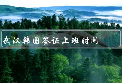 武汉韩国签证中心上班时间，上班时间／工作日安排／特殊安排