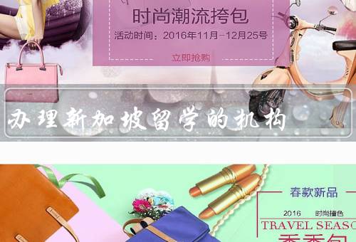 办理新加坡留学的机构