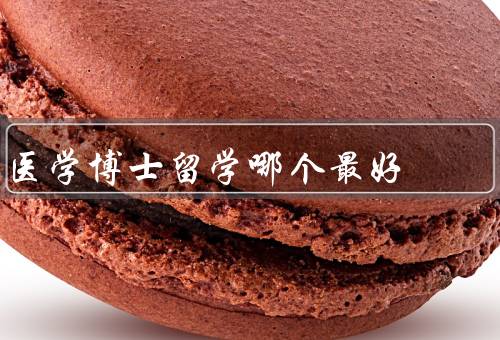 医学博士留学哪个国家最好，教育质量／科研环境／就业机会