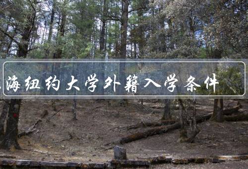 上海纽约大学外籍入学条件（外籍学生入学条件／申请流程）