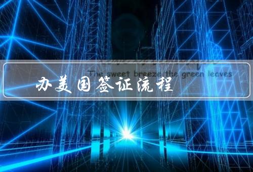 办美国签证流程（填写签证申请表、缴纳签证费用、预约面试）