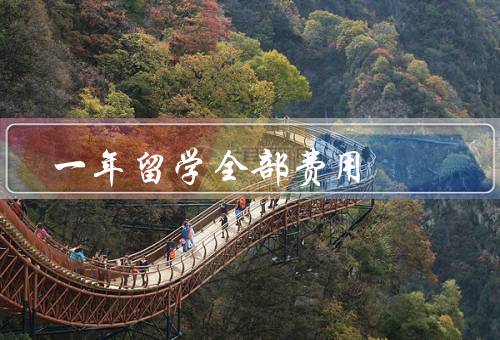 俄罗斯一年留学全部费用（摘要、学费、生活费）