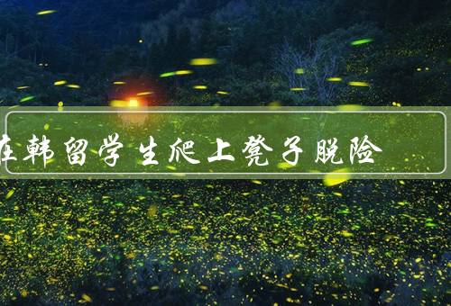 在韩留学生爬上凳子脱险，意外困在椅子上／机智脱险的方法／反思