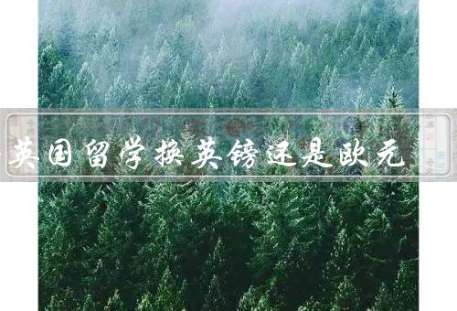 去英国留学换英镑还是欧元，汇率／使用范围／方便性