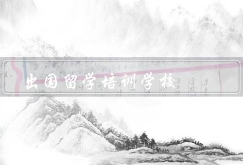 出国留学培训学校，留学前的准备／学术支持和指导