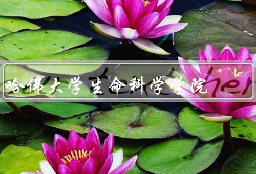 哈佛大学生命科学学院（学院历史、教育模式、研究成果）