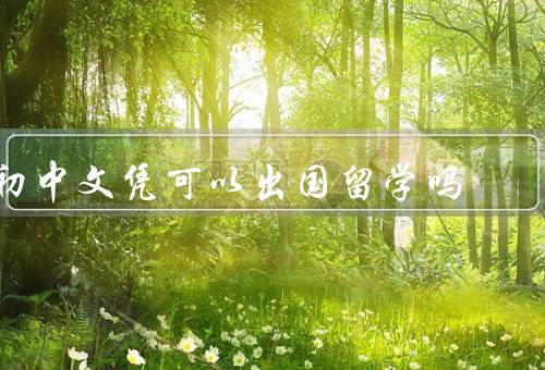 初中文凭可以出国留学吗，含金量／国内教育与国外教育的差异