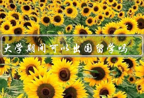 上大学期间可以出国留学吗，学术交流、语言能力提升、全球视野拓展