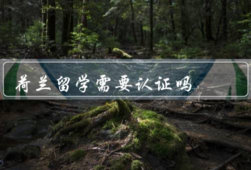 荷兰留学需要认证吗