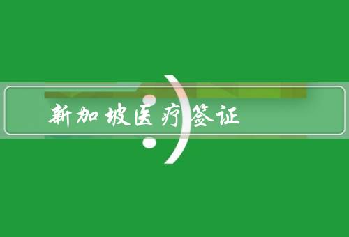 新加坡医疗签证