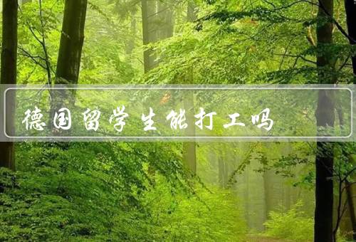 德国留学生能打工吗，法律规定、时间限制、机会
