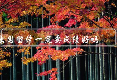 出国留学一定要成绩好吗（留学机会、学习能力、就业竞争）