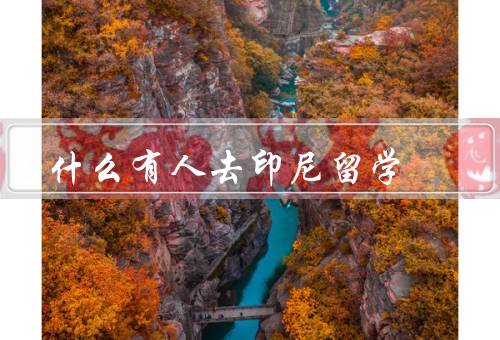 为什么有人去印尼留学（教育质量较高／文化氛围浓厚／交流机会多）