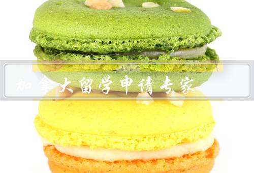 加拿大留学申请专家（申请材料准备、院校选择、签证申请）