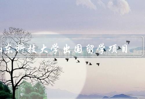 山东科技大学出国留学项目，概述／特色／成果