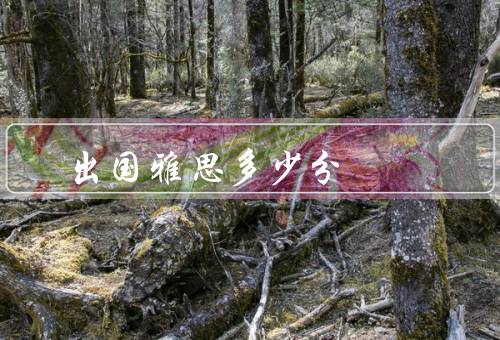 出国移民雅思多少分（雅思考试分数要求、不同国家的移民要求）