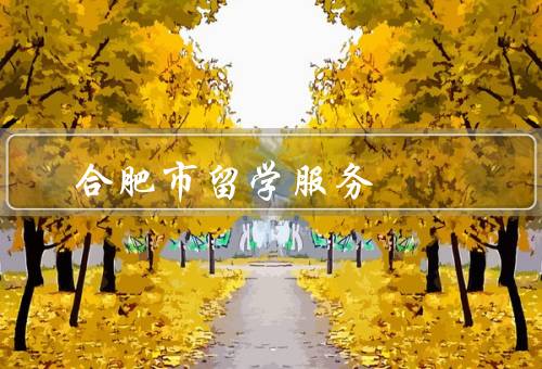 合肥市留学服务中心（工作内容、服务项目、作用）