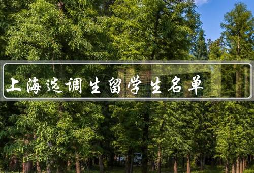 上海选调生留学生名单，名单／选调生计划的意义／责任和机遇