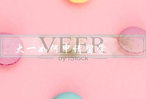 大一如何申请留学，选择目标国家和学校／提高语言能力／准备材料
