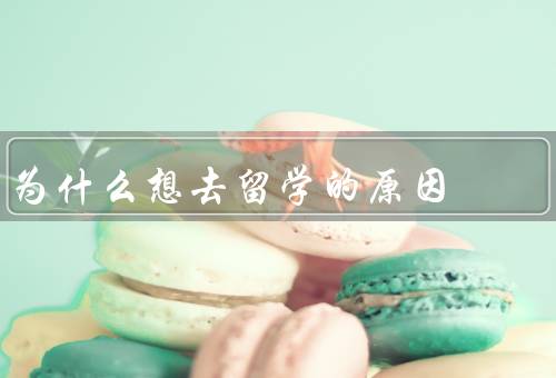 为什么想去留学的原因，拓宽视野／培养跨文化交流能力