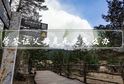 留学签证父母是无业怎么办，学生本人提供资金证明