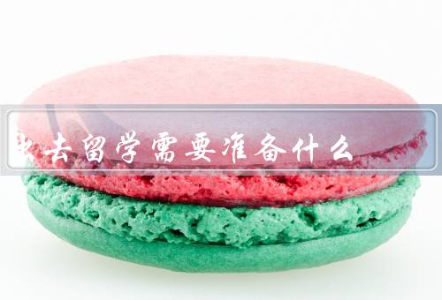 出去留学需要准备什么，申请材料准备、语言能力提升、适应能力培养