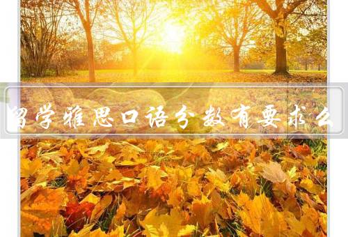 出国留学雅思口语分数有要求么，雅思口语分数的重要性
