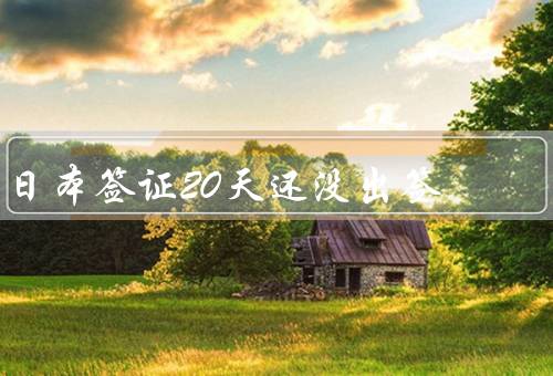 日本签证20天还没出签，申请过程漫长、审批标准严格