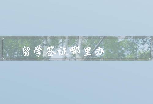 留学签证哪里办（中国驻外使领馆、目的国驻华使领馆、在线申请）