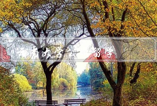 云南大学公派留学，背景／目的／经历