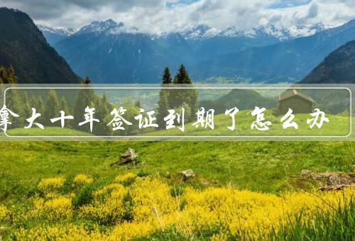 加拿大十年签证到期了怎么办（到期前的准备／延期申请／重新申请）