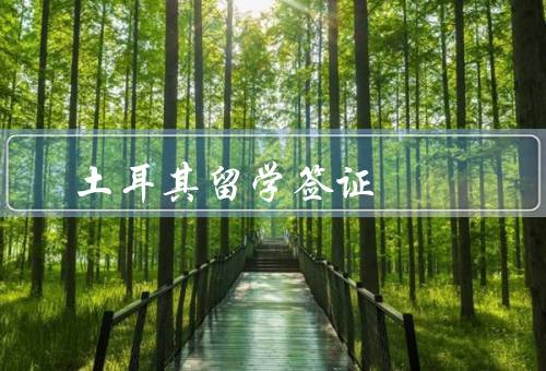 土耳其留学签证（办理土耳其留学签证、注意事项、总结）